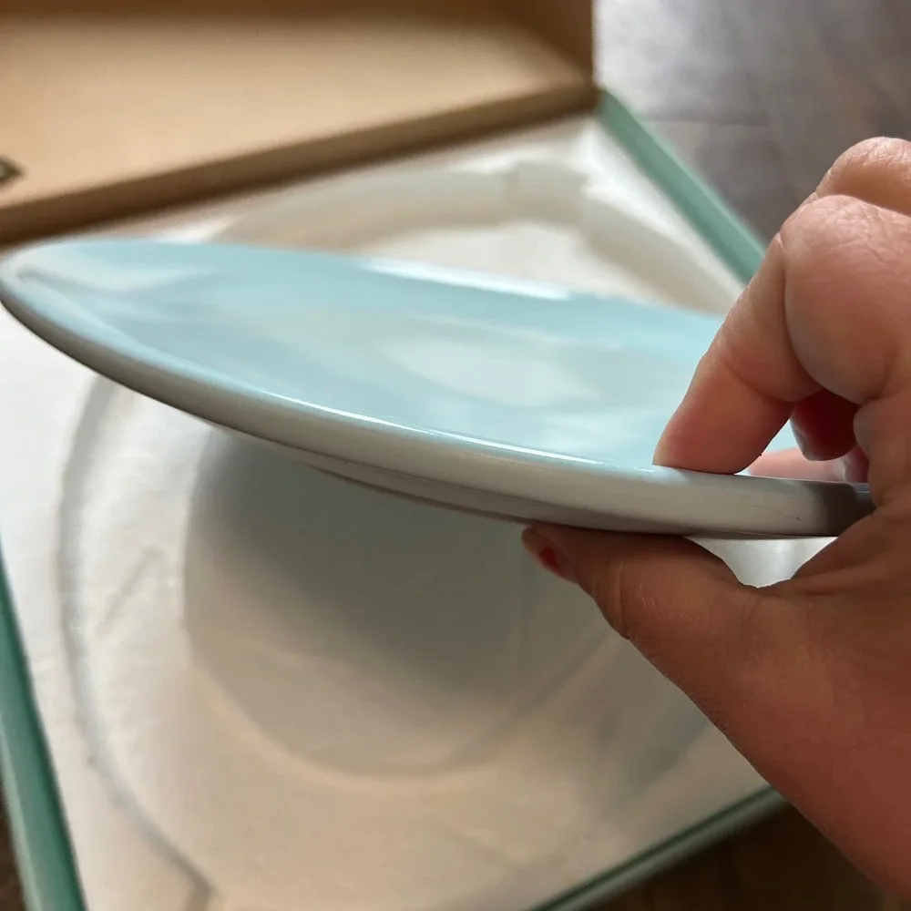 Nigella Lawson Living Kitchen XL Serving Platter Robin Egg Blue Sebastian Conran